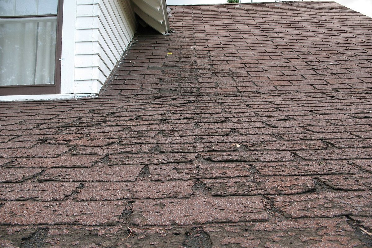 Aged asphalt shingle roof showing granule wear