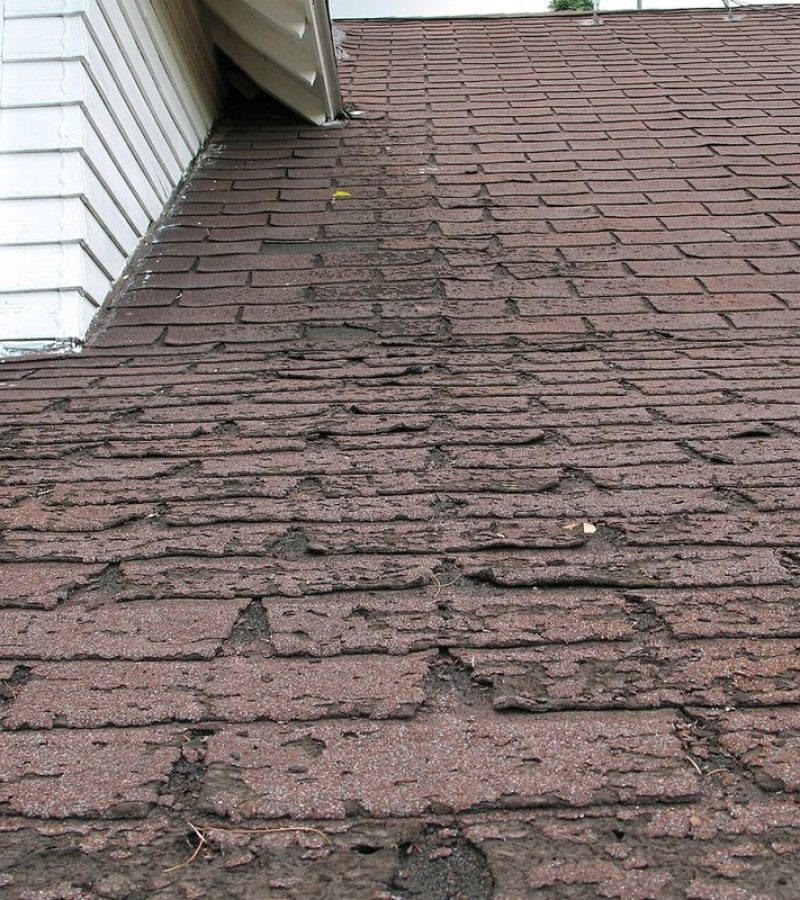 Aged asphalt shingle roof showing granule wear